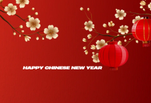 Happy chinese new year 2025 gif