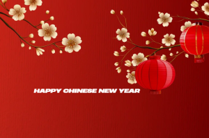 Happy chinese new year 2025 png Lunar New Year 2025