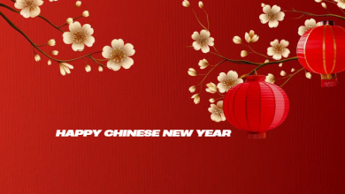 Happy chinese new year 2025 gif