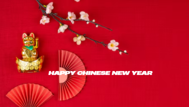 Happy chinese new year 2025 greetings