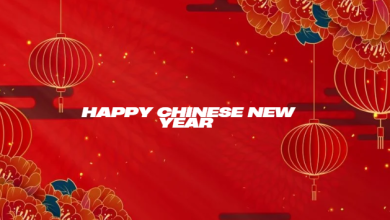 Happy chinese new year 2025 png