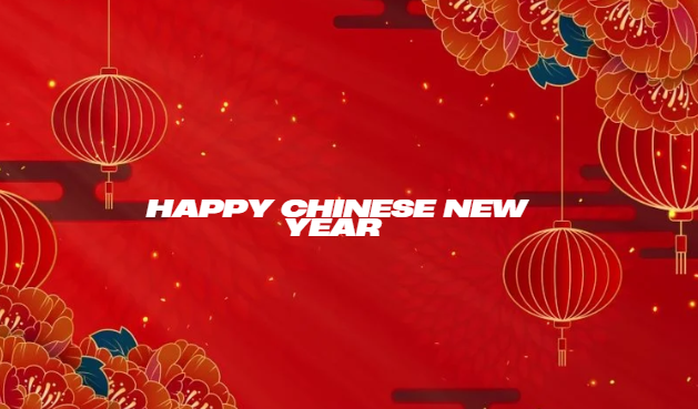 Happy chinese new year 2025 png