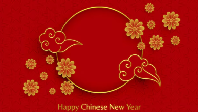 Happy chinese new year 2025 quotes