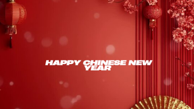 Happy chinese new year 2025 year of the snake gif