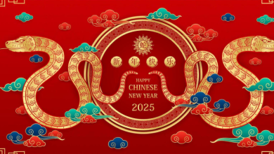 Happy chinese new year song 2025