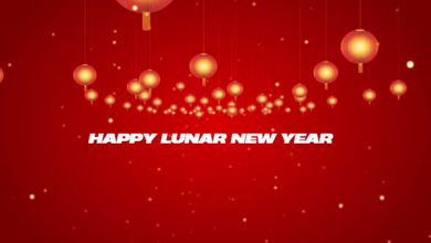 Happy lunar new year 2025 Photos, Pictures, Images