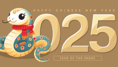 Happy lunar new year 2025 animation