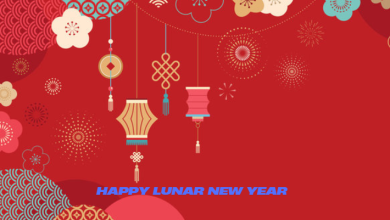 Happy lunar new year 2025 chinese