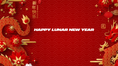 Happy lunar new year 2025 gif