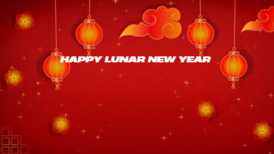 Happy lunar new year 2025 meaning