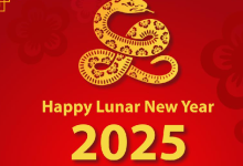 Happy lunar new year 2025 wishes