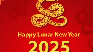 Happy lunar new year 2025 wishes