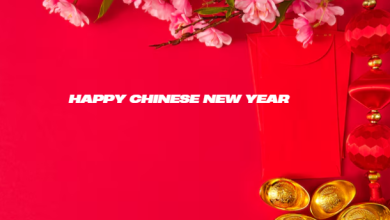 Happy new year 2025 in chinese language